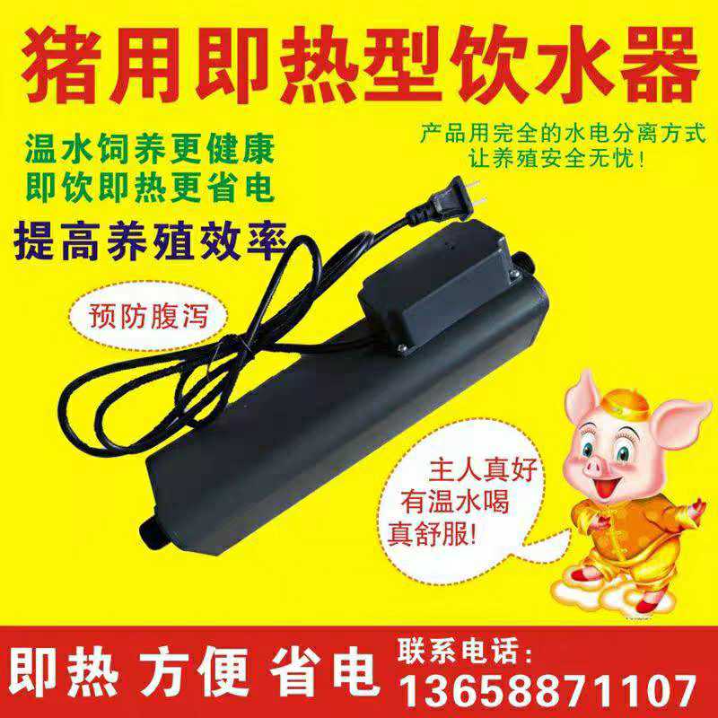 Pigs with immediate automatic water drinking equipment for pigs to drink warm water pigs with water heater
