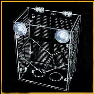 Peacock arhat seedling isolation breeding hatching box Acrylic aquarium funnel breeding hatching box Incubator