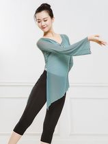 Classical dance costumes new tops practice clothes V-collar Chinese folk dance body modern dance performance trumpet sleeves