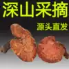 (Tmall Baozheng)Mountain Nourishing Wild Red Ganoderma Lucidum Changbai Mountain Blood Ganoderma Lucidum Red Danzhi Lu Yangzhi dried Products
