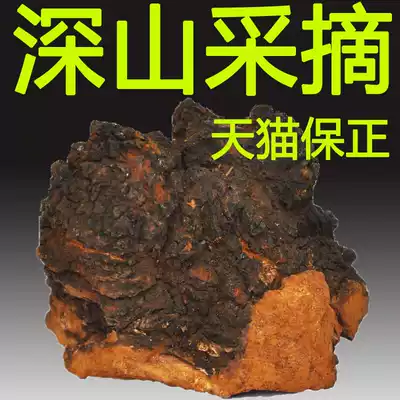 Mountain nourishment, wild chaga, Changbai Mountain, deep mountain growth, birch brown hole bacteria, birch velvet tears, birch mushroom dried products