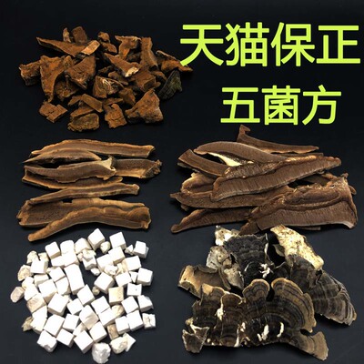 [【保正】野外深山生五菌汤真菌汤树舌桑黄茯苓黄云芝赤灵芝干品方]