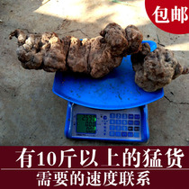 Guizhou Polygonum multiflorum wild value must be an integer in the big 1kg or more fresh Chinese herbal medicine that accompanies the therapeutic sparkling wine soup is that accompanies