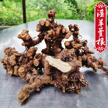Guizhou wild Epimedium root male nourishing Epimedium Xianling Spleen Liquor 500g with whole grass