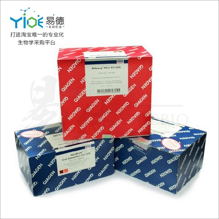 无内毒素宏量质粒提取试剂盒[Qiagen 12391]德国凯杰/qigen 5T