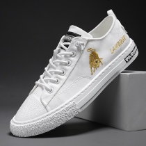 Canvas shoes mens trend Joker board shoes 2021 New Korean leisure summer breathable lazy lazy people a pedal small white shoes