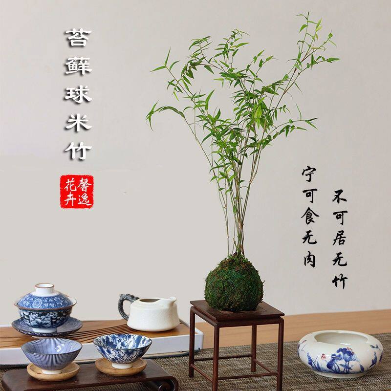 慕先生的云汐小铺
