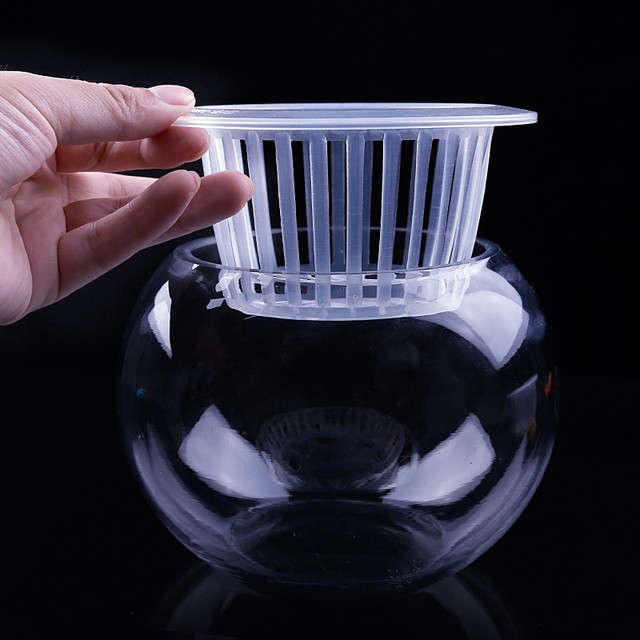 Glass vase hydroponic plant glass bottle green radish vase glass flower pot ball water aquarium container container