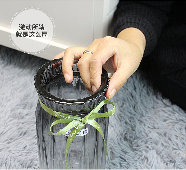 Bình thủy tinh đơn giản châu Âu, thủy tinh thẳng đứng, hoa hồng, hoa huệ, cẩm chướng, ngôi sao, hoa khô, bình hoa - Vase / Bồn hoa & Kệ chậu nhựa treo