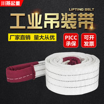 National Standard White Flat Hanger With Double Buckle Ring Industrial Pendant Strap Wagon Crane Lifting 5 ton 3 ton 2T4 Mie