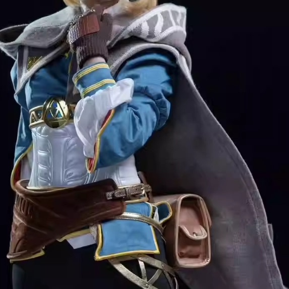 Tears of the Kingdom Breath of the Wild Princess Traveler Outfit Cosplay