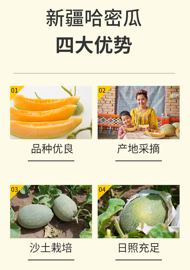 新疆新鲜现摘哈密瓜 净重7斤 图2