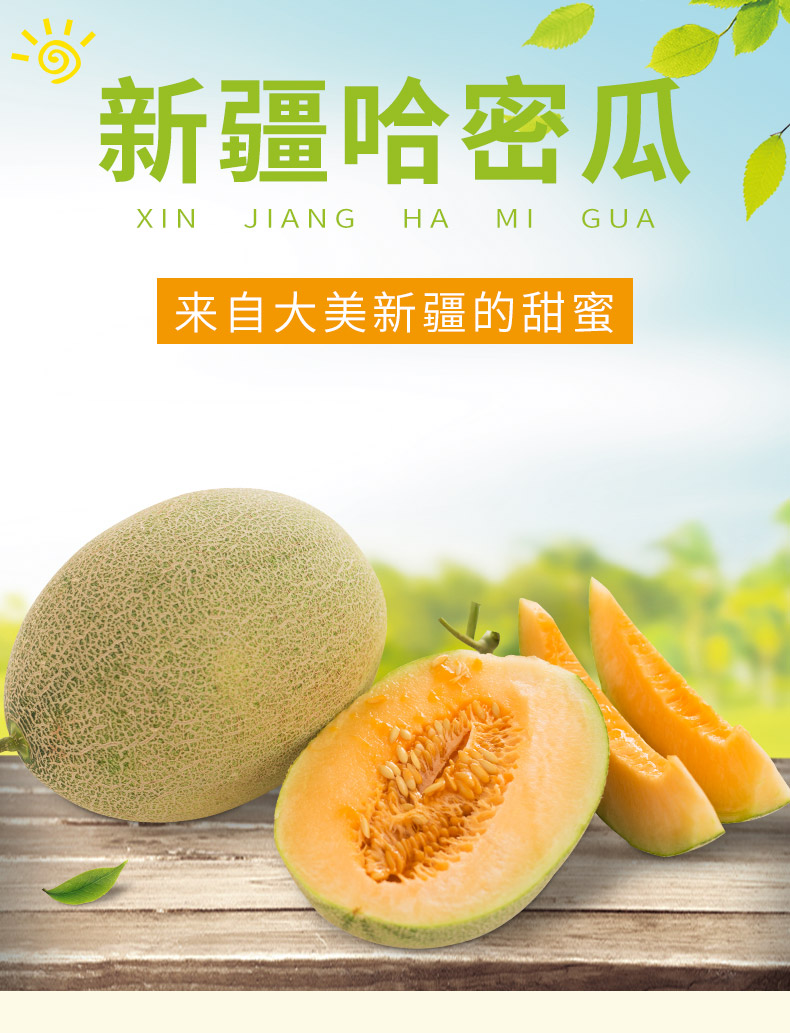 新疆新鲜现摘哈密瓜 净重7斤 图1
