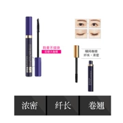 Hanzan mascara không thấm nước kéo dài không nở mã hóa lâu không làm đẹp mascara xoắn ốc đầu cọ thưa thớt - Kem Mascara / Revitalash