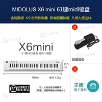 X6 mini (стандарт)