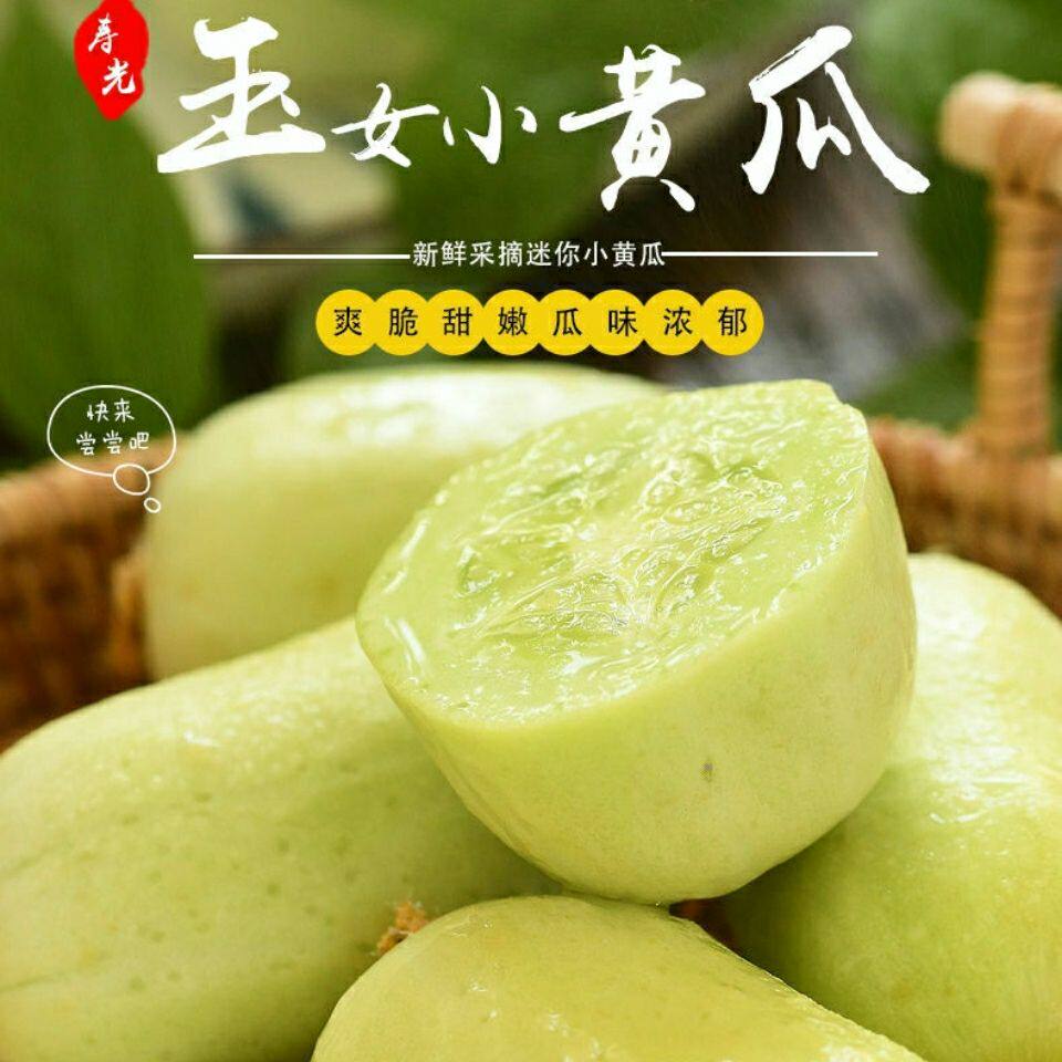 金童玉女水果小黄瓜和拇指小黄瓜，孕妇可以生吃吗？有何营养功效？-黄瓜-淘宝好物网