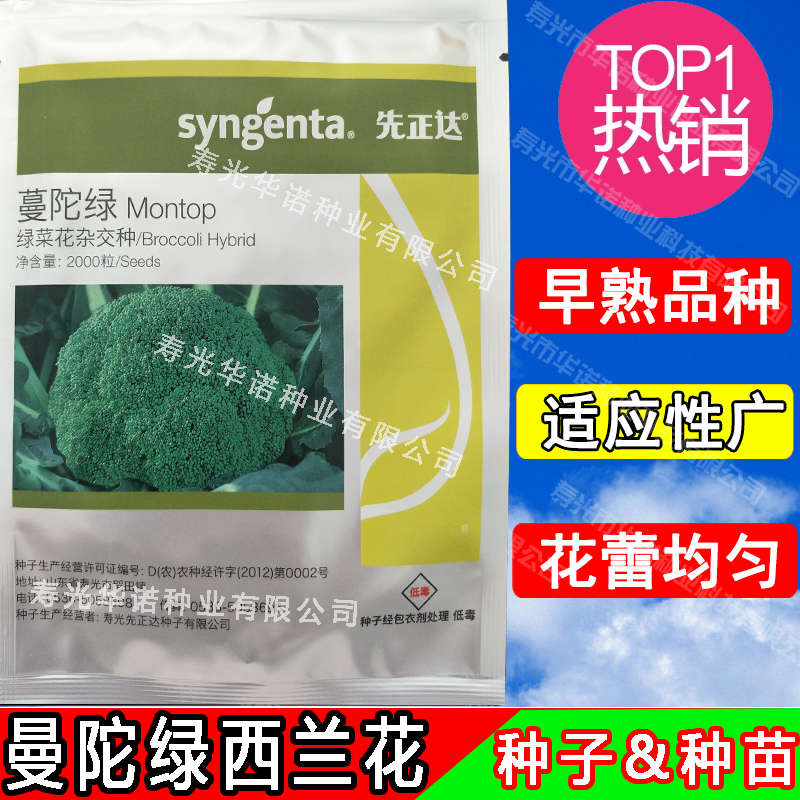先正達蔓陀綠青花菜種子進口西蘭花綠色花椰菜綠菜花種子菜籽春秋