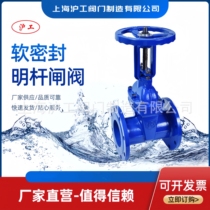 Shanghai Shanghai Work Valve Sewerage Cast Iron Soft Seal Gate Valve Z41X Clear Pole Manual Elastic Seat Seal Flange Gate Valve