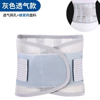 Серая модель 20 см [honeycomb.com]