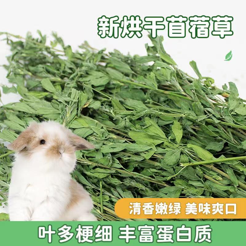 21 Years New Drying Purple Flowers Clover Clover Rabbit Dragon Cat Guinea Pig Rabbit Dry Grass Shepherd Grass Rabbit Grain Gross 1kg