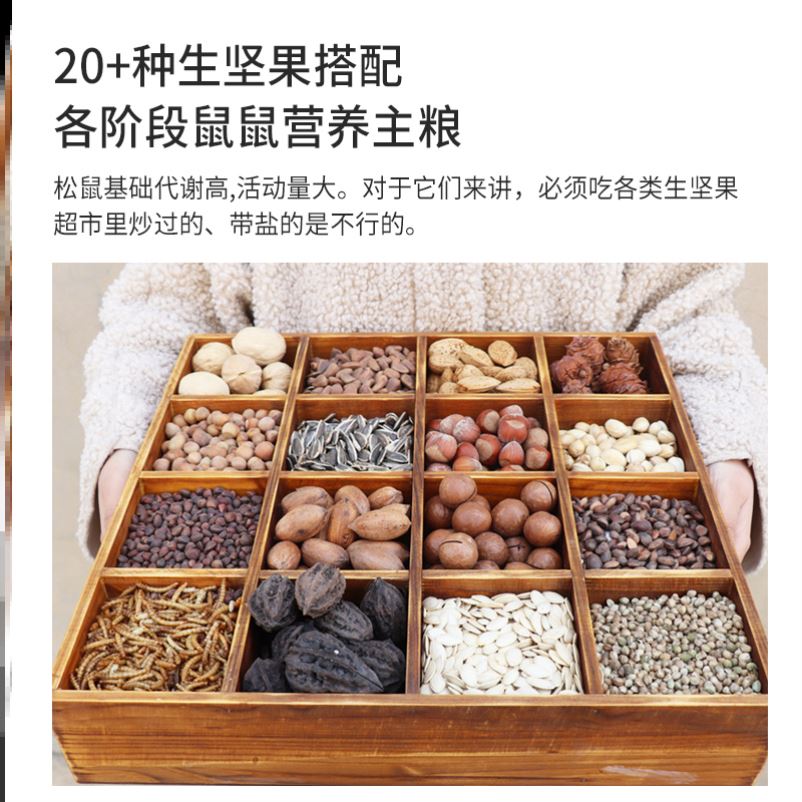 Squirrel grain package pine snow red belly food staple feed by the king of nuts grinding teeth snack