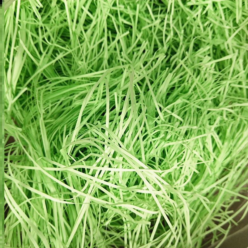 Hamster Nest Free Forest Cushion Material Golden Silk Bear Game Note Flowers and Mouse Long Mao Bear Squirrel Hedgehog Supplies Mat