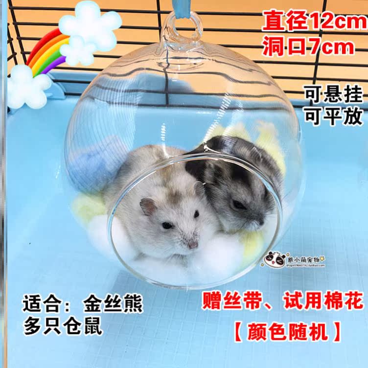 Hamster Glass Nest Gold Silk Bear Ice House Game Note Transparent Little Nest Spherical Small Hammock Sleeping Cog Cooling Ice Wine Pot