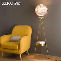 Feather floor lamp living room bedroom Nordic light luxury wind Net red bedside sofa creative art design copper table lamp