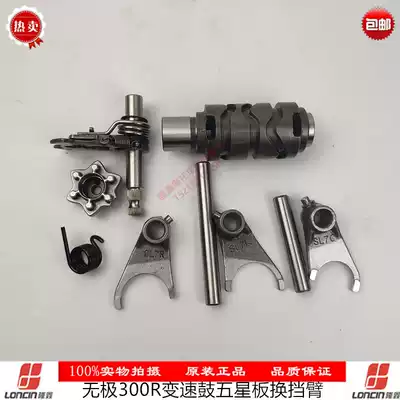 Longxin 300 four-valve large single-cylinder water-cooled locomotive engine variable speed drum five-star gear shift arm fork