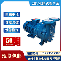 2bv water ring vacuum pump high gas volume water circulation pump industrial air pump directly connected electric high efficiency water pump