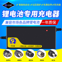 20 strings of iron lithium phosphate electric vehicle lithium battery charger 60V2A3A4A5A6A8A10A output 73V fast charge