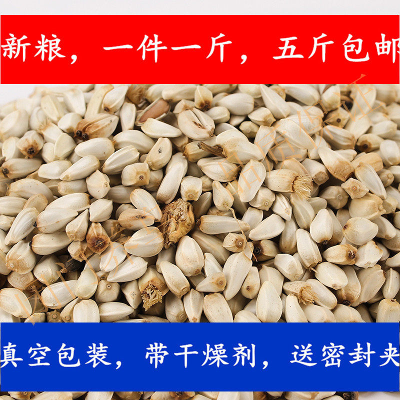 20 years safflower seeds Safflower seeds white melon seeds Hamster parrot food 1 catty five catty national medium-sized parrot