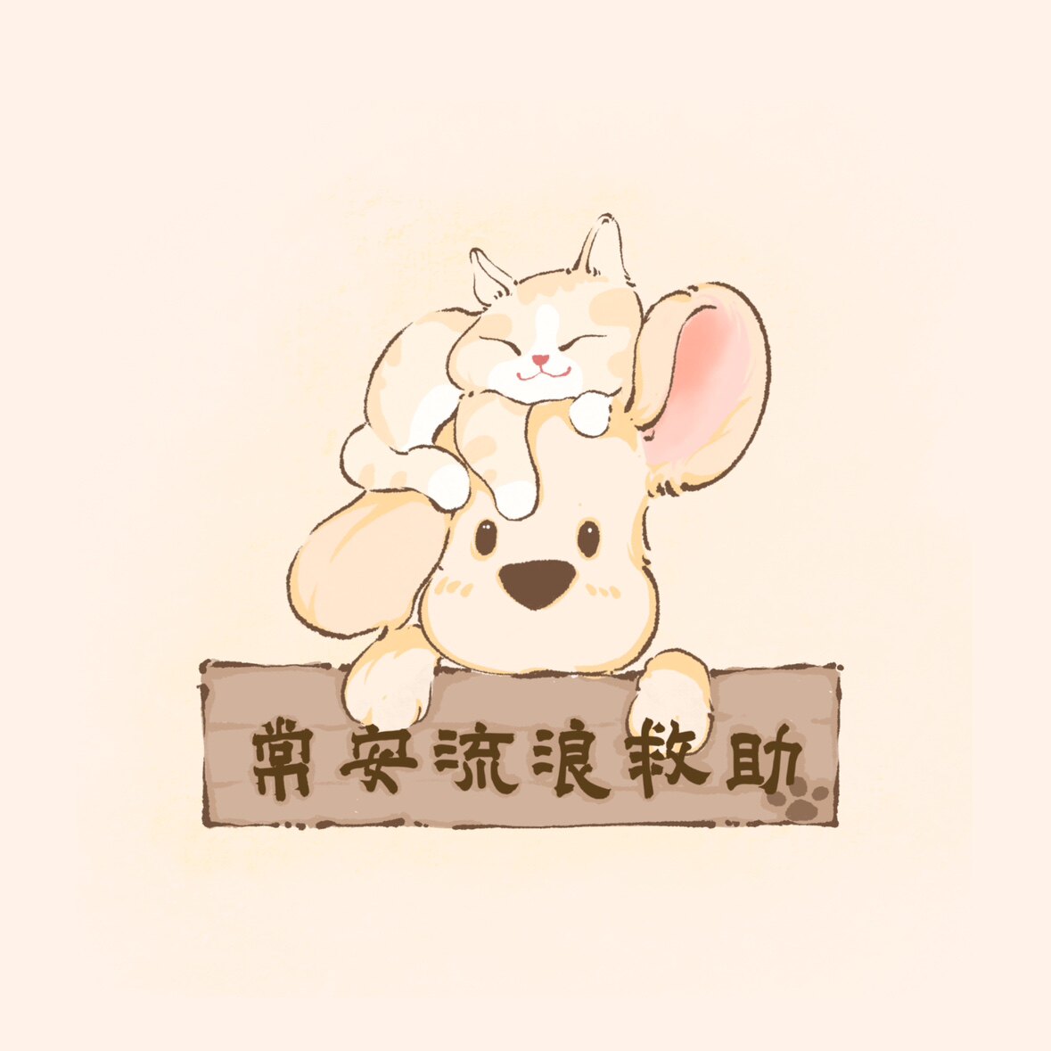小阳爱猫狗