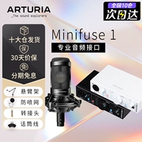 Шикура доставка/Минифузы 1 Белый+Железный треугольник AT2035 Микрофон+пакет предметов роскошных аксессуаров