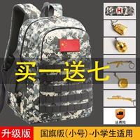 Модернизированное издание небольшого национального флага- (семь)