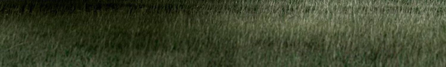 Короткий язык       