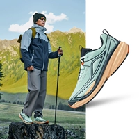 506 Bubble Green/Bronze Cyan [плакат]