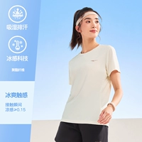 【2038】 -д сыр белый