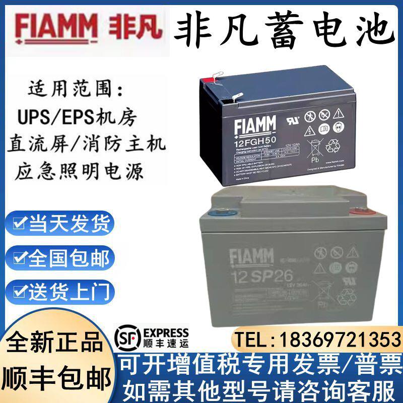 FIAMM非凡蓄电池12SP12V205AH150AH120AH100AH42AH55AH33AH26AH