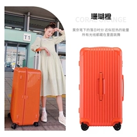 Коралловый апельсин 【Быстрый и соскабливание элиты обновляется сгущается】