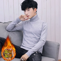 889 (плюс бархатный сплошные цвета) серый серый