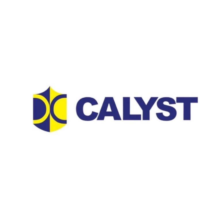 Calyst 铠乐士工厂店