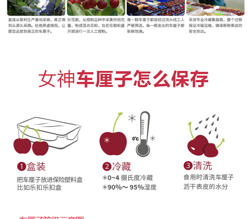 现货 智利进口 车厘子 3斤 图11