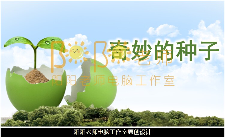 大班科学 奇妙的种子 Ppt课件 教案 阳阳老师电脑工作室