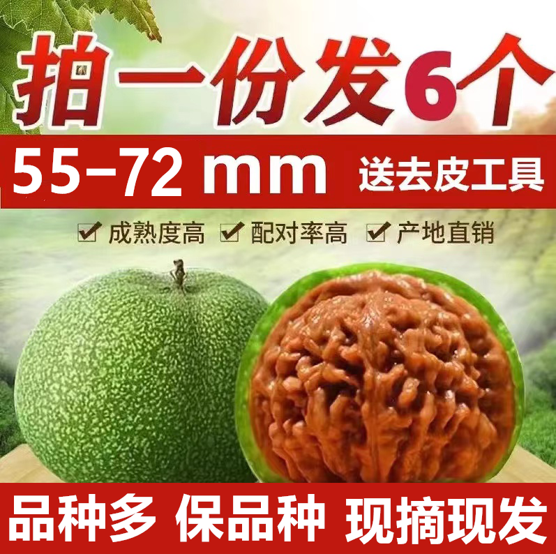 Walnut Wen Playing Gambling Green Leather Clams Head Full of Star apple Orchard tray Play in Four Houses Lions Heads Millstones Kirin Guan Hat-Taobao