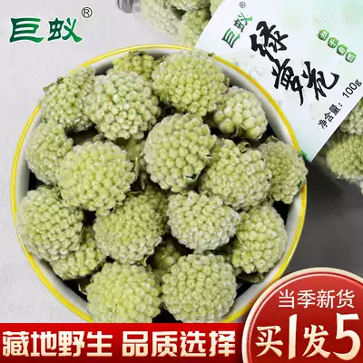 Buy 1 hair 5 gold Ge scented tea 500g Tibetan Wild Gold Luo Hua Luo Hua Hua Xianghua Super Snow Flower