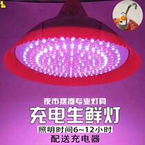 Fruit light led fresh light wireless charging bread 200