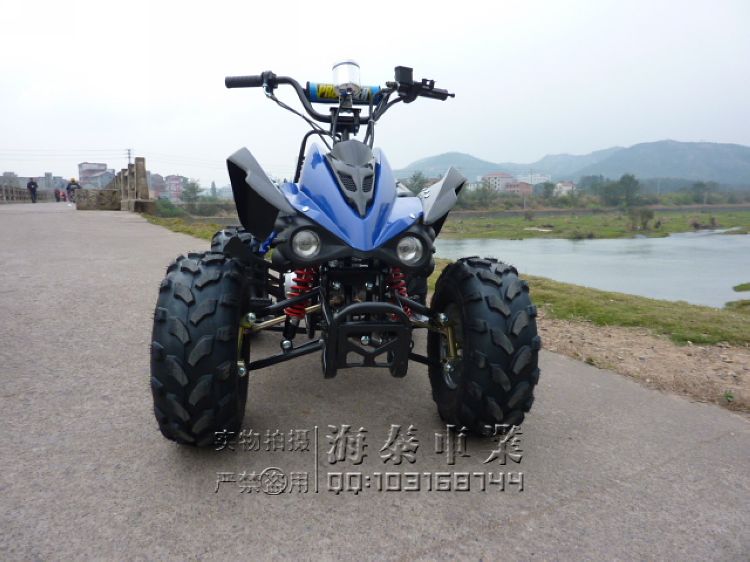 Kệ mới sửa đổi! Đôi nhôm hàng 8 inch kéo lốp nhỏ mars ATV bãi biển xe gắn máy