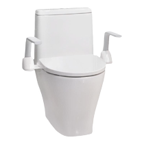 Coles vieillies toilettes toilettes main courante accoudoir 22091T