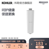 Kohler Xixin Rain shower Purifier Filter K-R75751T-NA
